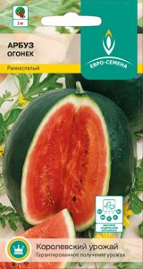 Арбуз Огонек цв/п 12 шт., раннеспелый, плоды округлые, до 2 кг, мякоть оранжево-красная, сахарная - фото Арбуз Огонек цв/п 12 шт., раннеспелый, плоды округлые, до 2 кг, мякоть оранжево-красная, сахарная от компании ООО «Торговая компания «Зеленая Русь» - фото