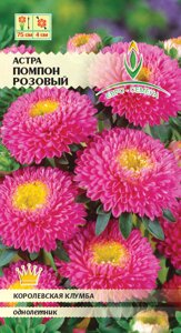 Астра Помпон розовый цв/п 0,3 гр. однолетник - фото Астра Помпон розовый цв/п 0,3 гр. однолетник от компании ООО «Торговая компания «Зеленая Русь» - фото
