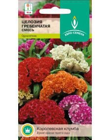 Целозия Гребенчатая смесь цв/п 0,25 гр. однолетник - фото Целозия Гребенчатая смесь цв/п 0,25 гр. однолетник от компании ООО «Торговая компания «Зеленая Русь» - фото