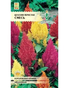 Целозия Перистая смесь цв/п 0,25 гр. однолетник - фото Целозия Перистая смесь цв/п 0,25 гр. однолетник от компании ООО «Торговая компания «Зеленая Русь» - фото
