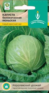 Капуста Июньская б/к цв/п 0,5 гр. раннеспелая - фото Капуста Июньская б/к цв/п 0,5 гр. раннеспелая от компании ООО «Торговая компания «Зеленая Русь» - фото