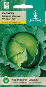 Капуста Слава 1305 б/к цв/п 0,5 гр. среднепоздняя - фото Капуста Слава 1305 б/к цв/п 0,5 гр. среднепоздняя от компании ООО «Торговая компания «Зеленая Русь» - фото