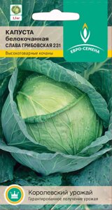 Капуста Слава Грибовская 231 б/к цв/п 0,5 гр. среднеспелая - фото Капуста Слава Грибовская 231 б/к цв/п 0,5 гр. среднеспелая от компании ООО «Торговая компания «Зеленая Русь» - фото