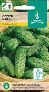 Огурец Малыш цв/п 12 шт., пчелоопыляемый - фото Огурец Малыш цв/п 12 шт., пчелоопыляемый от компании ООО «Торговая компания «Зеленая Русь» - фото