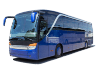 Автобусы