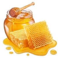 Мёд и продукты пчеловодства в Могилёве