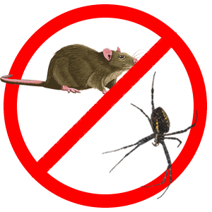 Защита от животных и насекомых в Могилёве