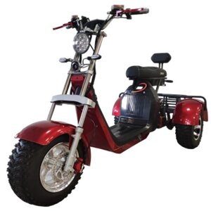 Электроскутер-Трицикл CityCoCo SMD 3-2 NEW