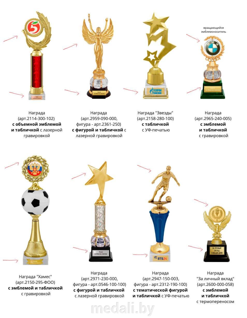 Как комплектовать награды - фото pic_1c1bb05c969549d8cc4c8f820003e205_1920x9000_1.jpg