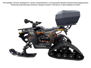 Квадроцикл motoland WILD X 125 без птс зимняя комплектация