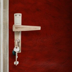 Комплект для обивки дверей 110 205 см: иск. кожа, поролон 5 мм, гвозди, струна, рыжий, "Рулон"
