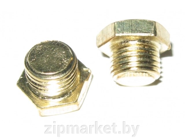 Пробка резьбовая G1/4'' GFI-07P от компании ИП Сацук В. И. - фото 1