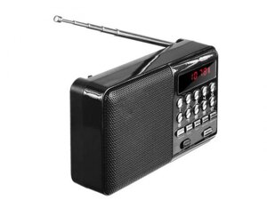 Портативный радиоприемник Perfeo i90 PF 4870 Black