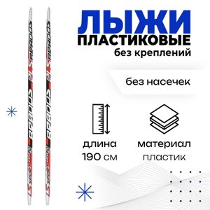 Лыжи пластиковые БРЕНД ЦСТ, 190 см, цвет МИКС