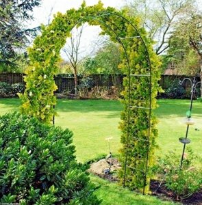 Декоративная садовая арка для вьющихся растений (240*140*37см) трубка 13*0,35мм