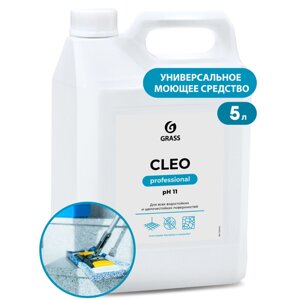 Средство моющее универсальное "Cleo" 5,2кг, щелочное с антибактериальным эффектом