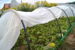 Парник для огорода со спанбондом Садовник 8м плотность 42 г/м2