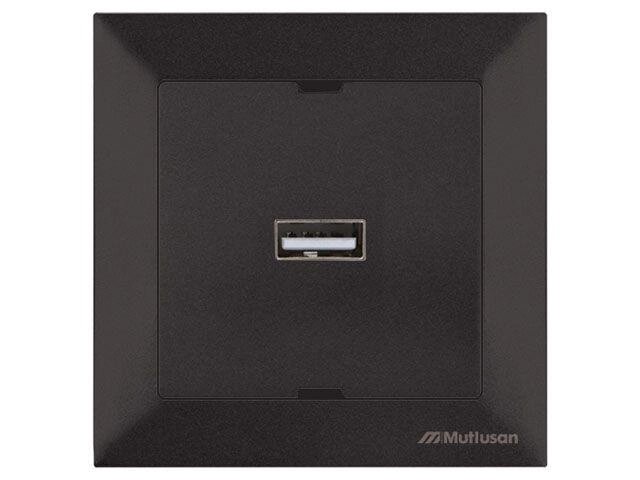 Розетка 1-ая USB (скрытая) черная, DARIA, MUTLUSAN от компании ЧТУП «АннаДекор» - фото 1