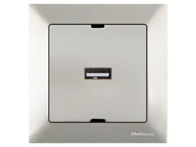 Розетка 1-ая USB (скрытая) титан, DARIA, MUTLUSAN от компании ЧТУП «АннаДекор» - фото 1