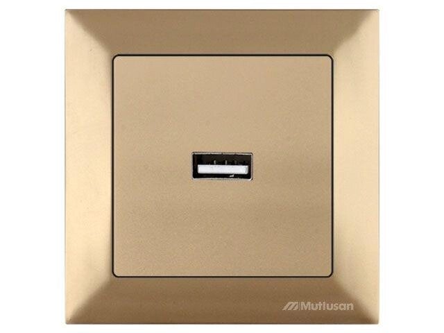 Розетка 1-ая USB (скрытая) золото, DARIA, MUTLUSAN от компании ЧТУП «АннаДекор» - фото 1