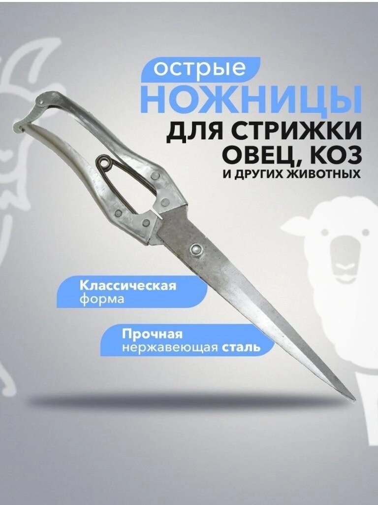 Ножницы для стрижки овец, собак и других животных от компании Magicmarket - фото 1