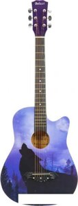 Акустическая гитара Belucci BC3840 1351