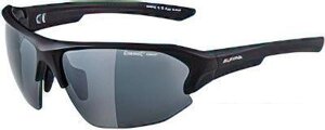 Солнцезащитные очки Alpina Lyron HR A86323-31 (черный матовый)