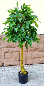 Искусственное растение ForGarden Ficus Topiary / BF01692