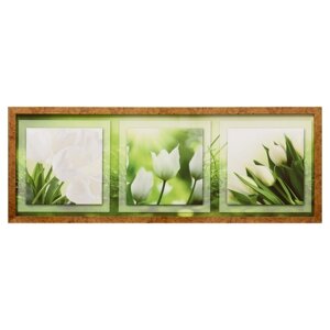 Картина "Белые тюльпаны" 42х107 см рамка микс