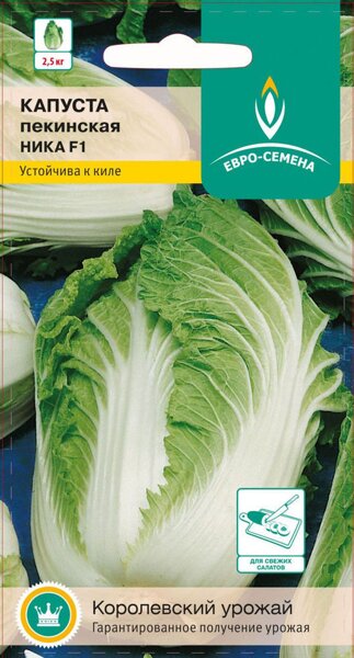 Капуста Ча Ча (пекинская) - посадка и уход (фото) Сайт 39 Капуста Ча Ча (пекинская) - посадка и уход (фото) Сайт 25
