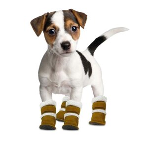 Обувь и носочки для домашних животных в Гродно