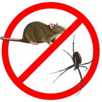 Защита от животных и насекомых в Бресте