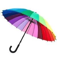 Зонты в Бресте