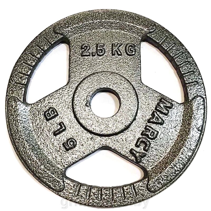 Диск 2.5 кг железный Ø26 мм (арт. K3-2,5kg) от компании Интернет-магазин товаров для спорта и туризма ГРИФ-СПОРТ - фото 1