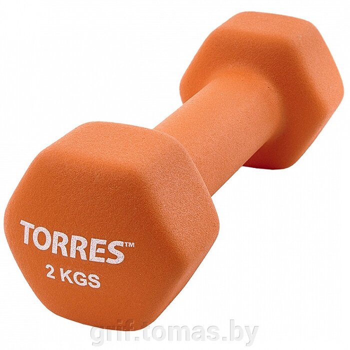 Гантели неопреновые Torres 2.0 кг (пара) (арт. PL55012) от компании Интернет-магазин товаров для спорта и туризма ГРИФ-СПОРТ - фото 1