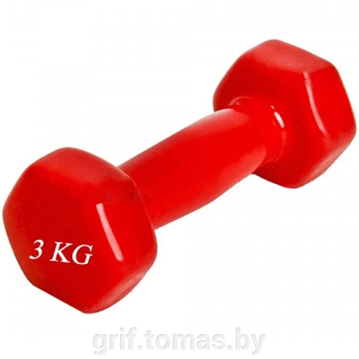 Гантели виниловые 3.0 кг (красный) (арт. AR-8) от компании Интернет-магазин товаров для спорта и туризма ГРИФ-СПОРТ - фото 1