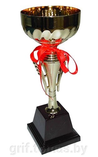 Кубок сувенирный 1012С (арт. 1012C) от компании Интернет-магазин товаров для спорта и туризма ГРИФ-СПОРТ - фото 1