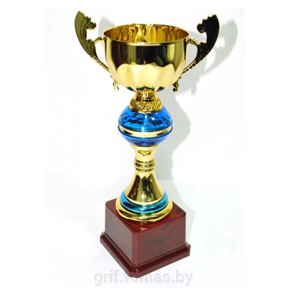 Кубок сувенирный FB2004-B (арт. FB2004-B) от компании Интернет-магазин товаров для спорта и туризма ГРИФ-СПОРТ - фото 1