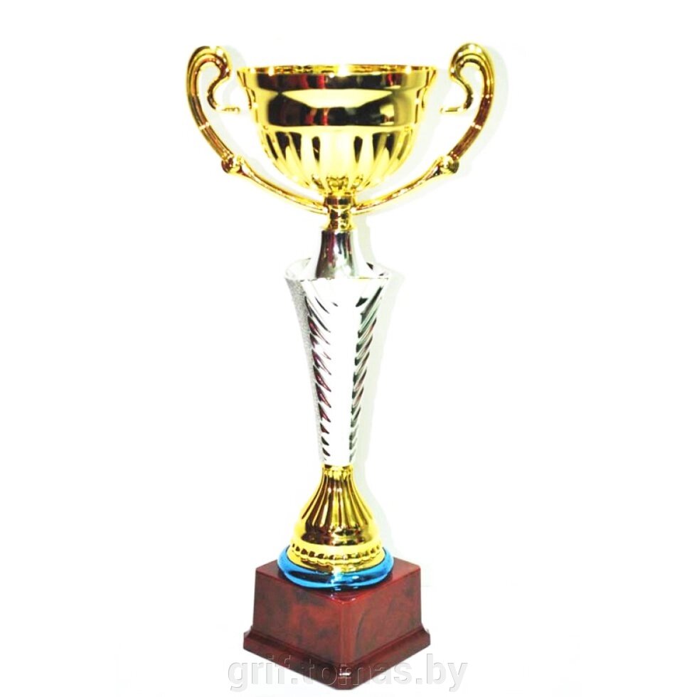 Кубок сувенирный FB2031-B (арт. FB2031-B) от компании Интернет-магазин товаров для спорта и туризма ГРИФ-СПОРТ - фото 1