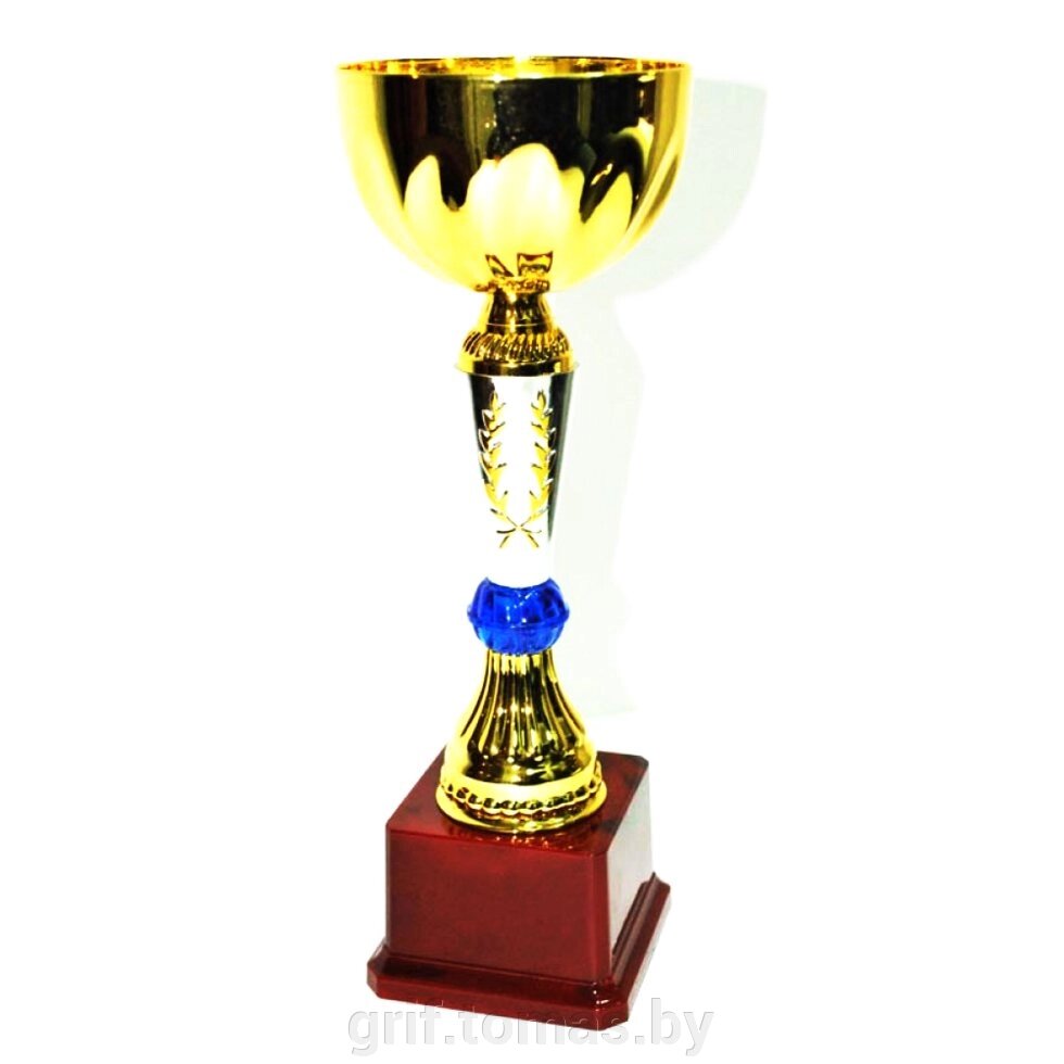 Кубок сувенирный FB2034-A (арт. FB2034-A) от компании Интернет-магазин товаров для спорта и туризма ГРИФ-СПОРТ - фото 1