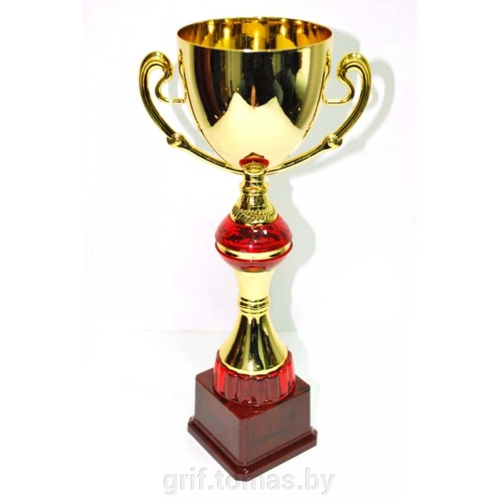 Кубок сувенирный FB2066B (арт. FB2066B) от компании Интернет-магазин товаров для спорта и туризма ГРИФ-СПОРТ - фото 1