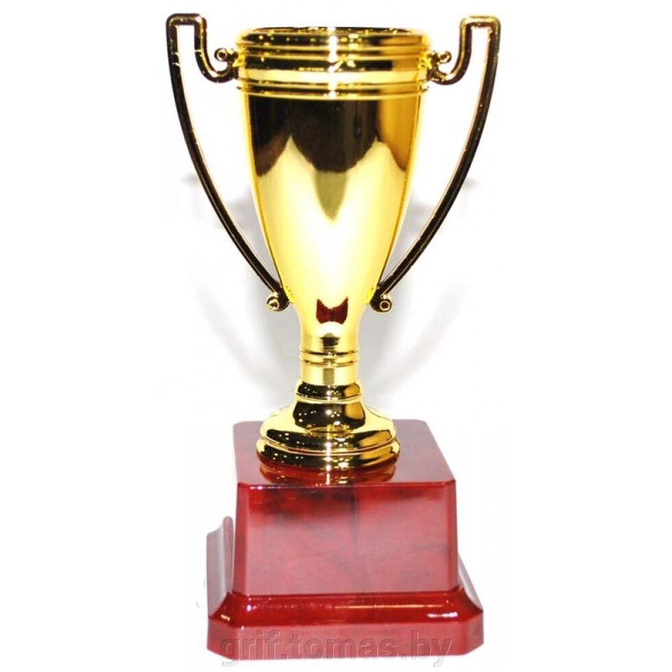 Кубок сувенирный H11-111-100-C (арт. H11-111-100-C) от компании Интернет-магазин товаров для спорта и туризма ГРИФ-СПОРТ - фото 1