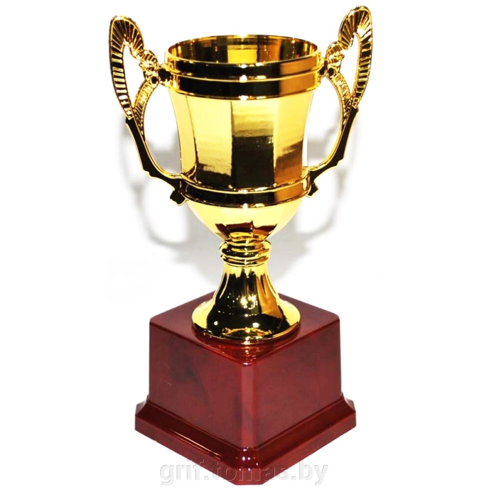 Кубок сувенирный H14-026-70-B (арт. H14-026-70-B) от компании Интернет-магазин товаров для спорта и туризма ГРИФ-СПОРТ - фото 1