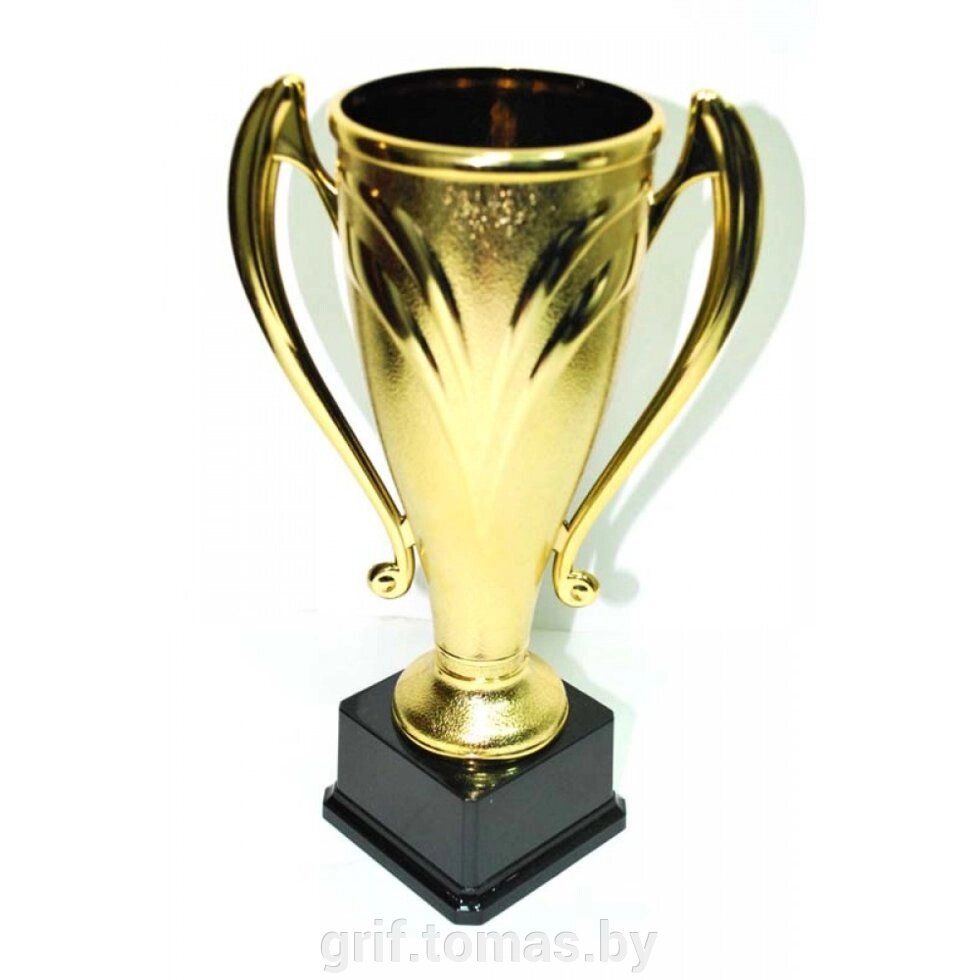Кубок сувенирный HB2001A (арт. HB2001A) от компании Интернет-магазин товаров для спорта и туризма ГРИФ-СПОРТ - фото 1