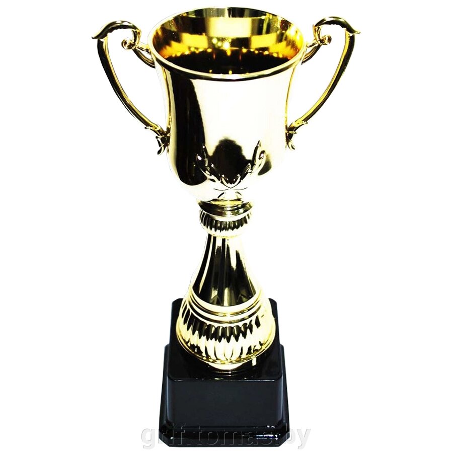 Кубок сувенирный HB2011-D (арт. HB2011-D) от компании Интернет-магазин товаров для спорта и туризма ГРИФ-СПОРТ - фото 1