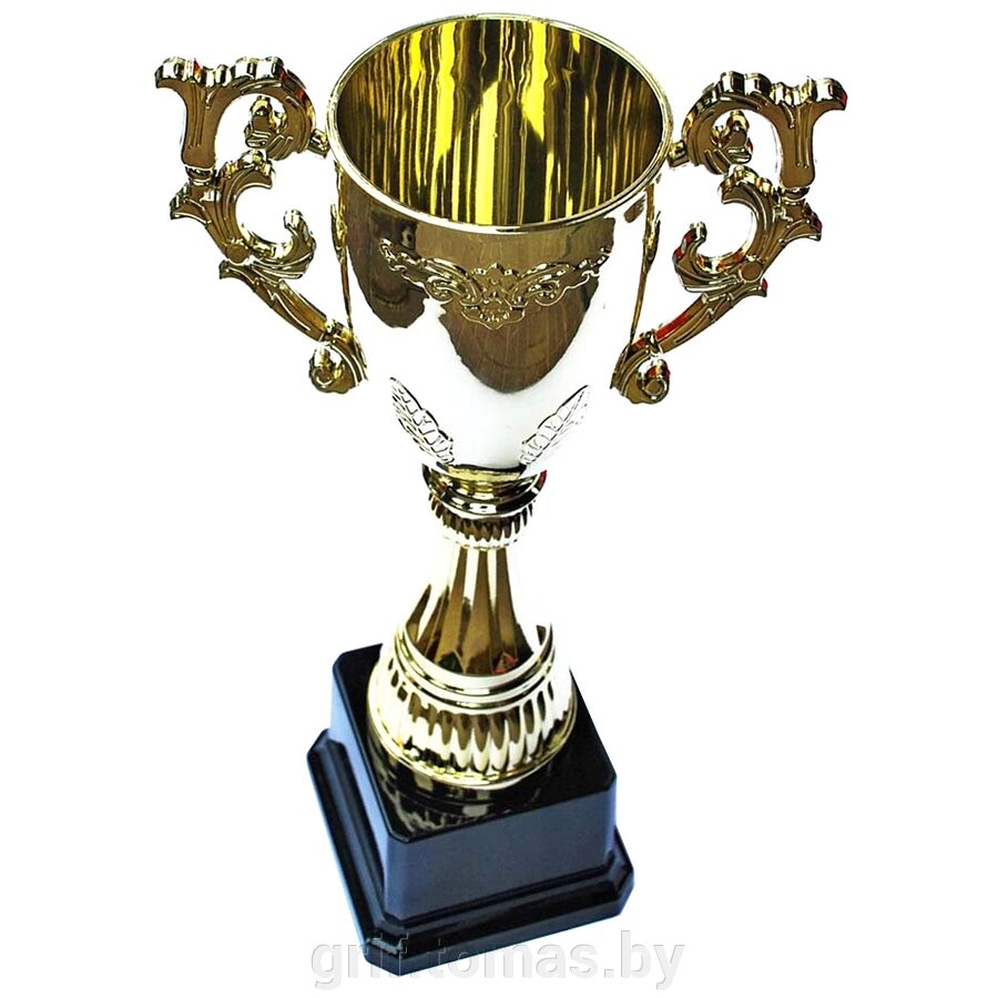 Кубок сувенирный HB2012-A (арт. HB2012-A) от компании Интернет-магазин товаров для спорта и туризма ГРИФ-СПОРТ - фото 1