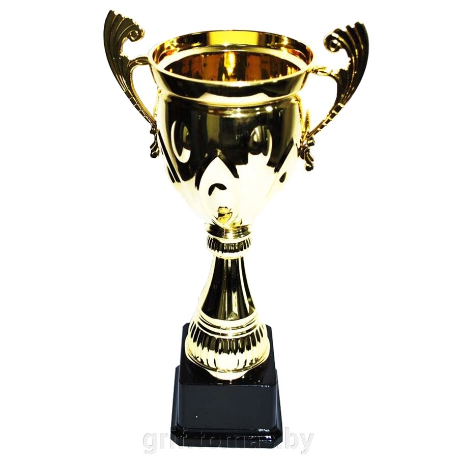 Кубок сувенирный HB2046-B (арт. HB2046-B) от компании Интернет-магазин товаров для спорта и туризма ГРИФ-СПОРТ - фото 1