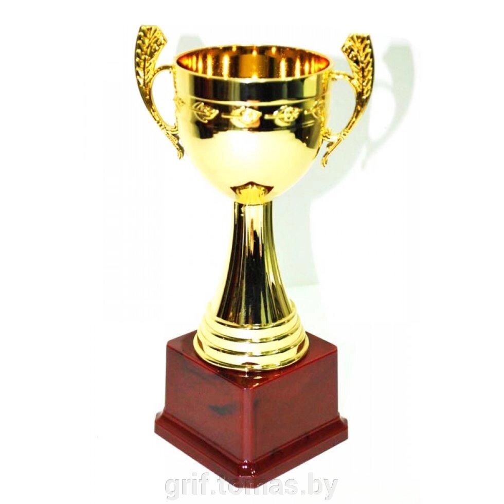 Кубок сувенирный HB2074-D (арт. HB2074-D) от компании Интернет-магазин товаров для спорта и туризма ГРИФ-СПОРТ - фото 1