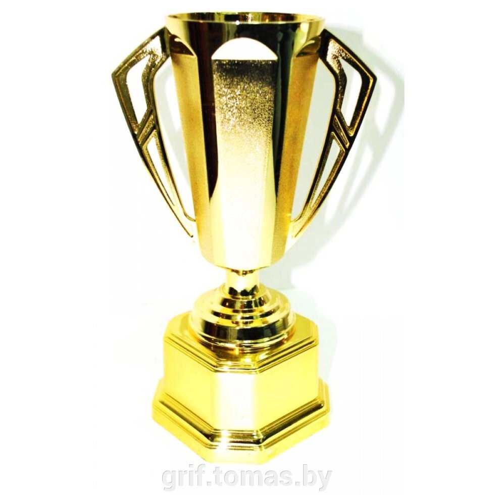 Кубок сувенирный HB302B (арт. HB302B) от компании Интернет-магазин товаров для спорта и туризма ГРИФ-СПОРТ - фото 1