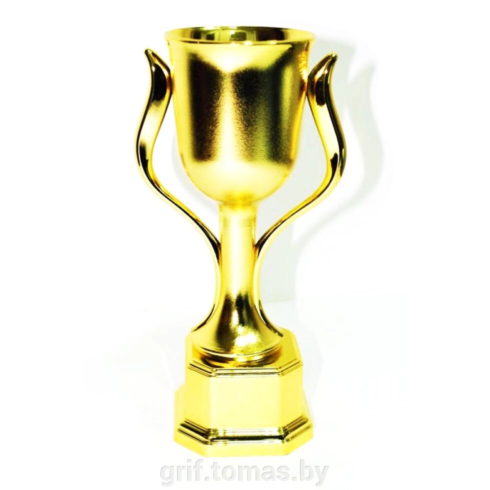 Кубок сувенирный HB303C (арт. HB303C) от компании Интернет-магазин товаров для спорта и туризма ГРИФ-СПОРТ - фото 1